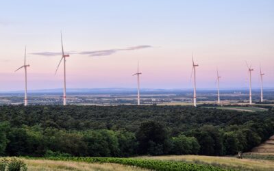 Sommerfest der Wirtschaftsbund Bezirksgruppe Gänserndorf